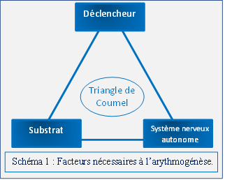 Schema triangle de coumel